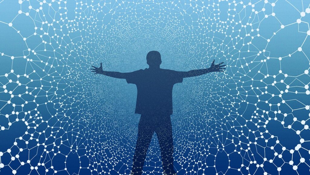 network, person, silhouette