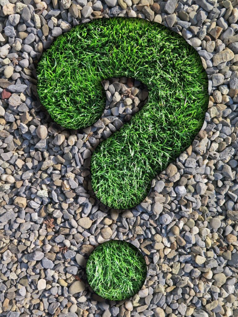 question, counselor, lawn